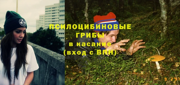 хмурый Зеленодольск