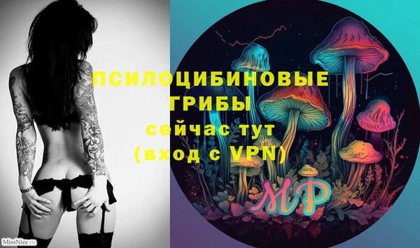 хмурый Зеленодольск