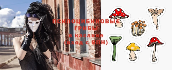хмурый Зеленодольск