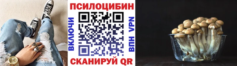 Купить где  Мамоново  Псилоцибиновые грибы MAGIC MUSHROOMS 